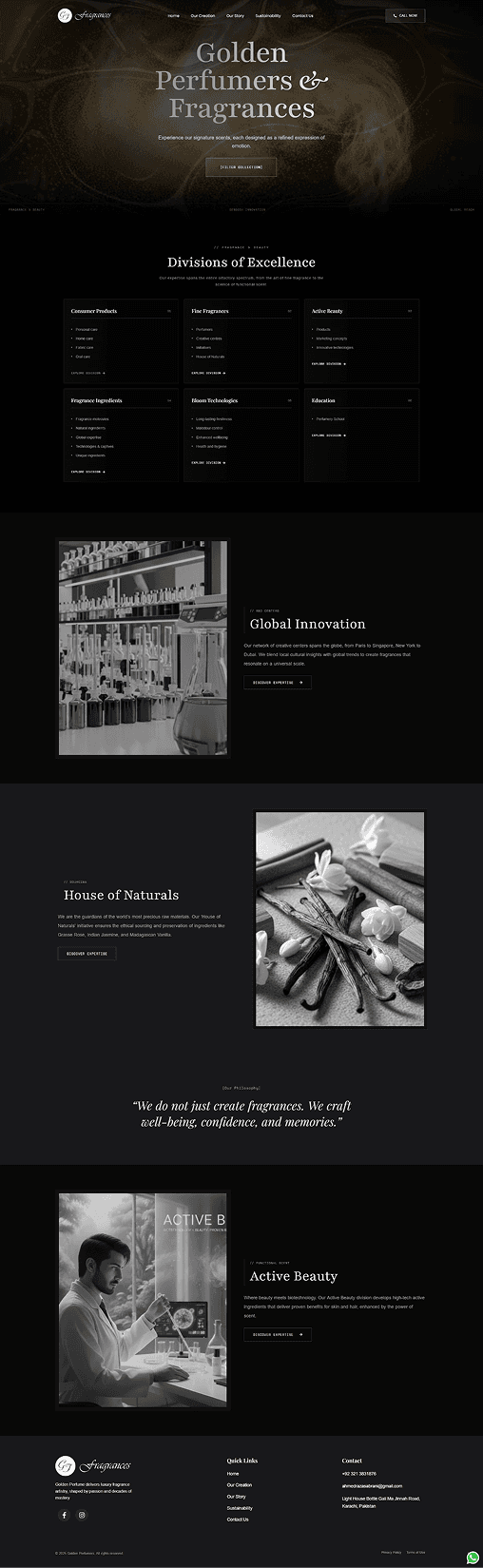 Website design portfolio item 6